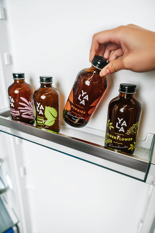 Why Drink Kombucha