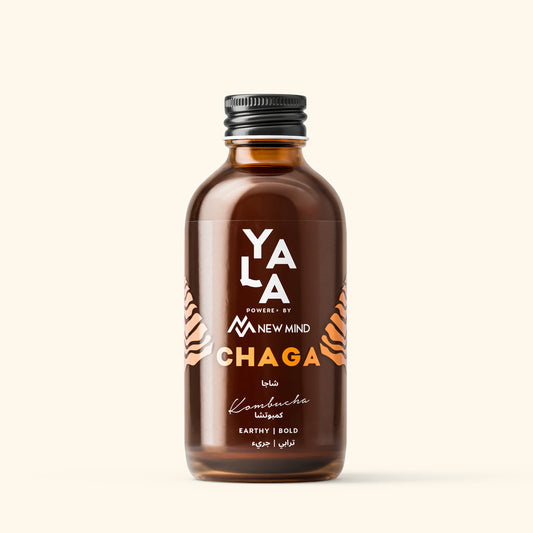 Chaga Functional Kombucha