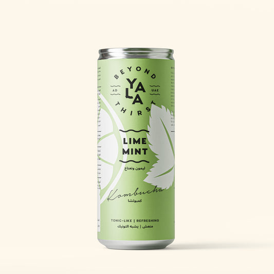 Lime & Mint Canned Kombucha