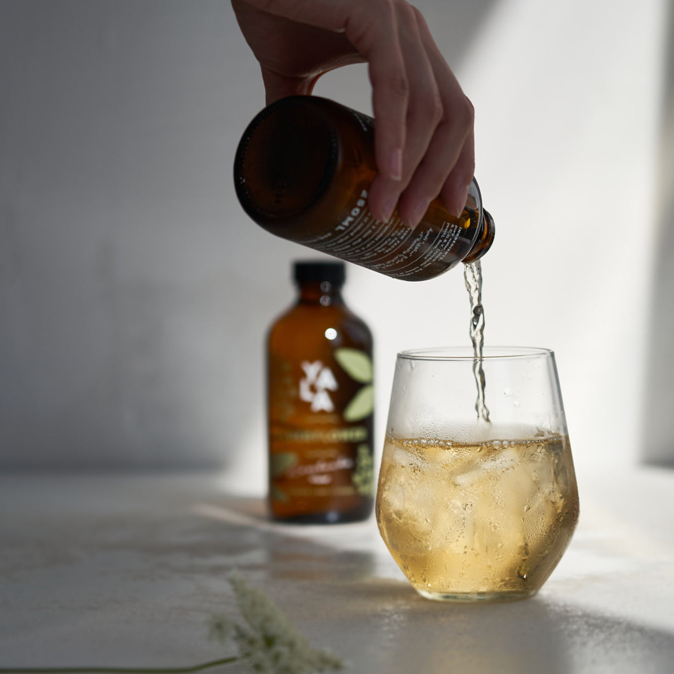 Elderflower Bottled Kombucha