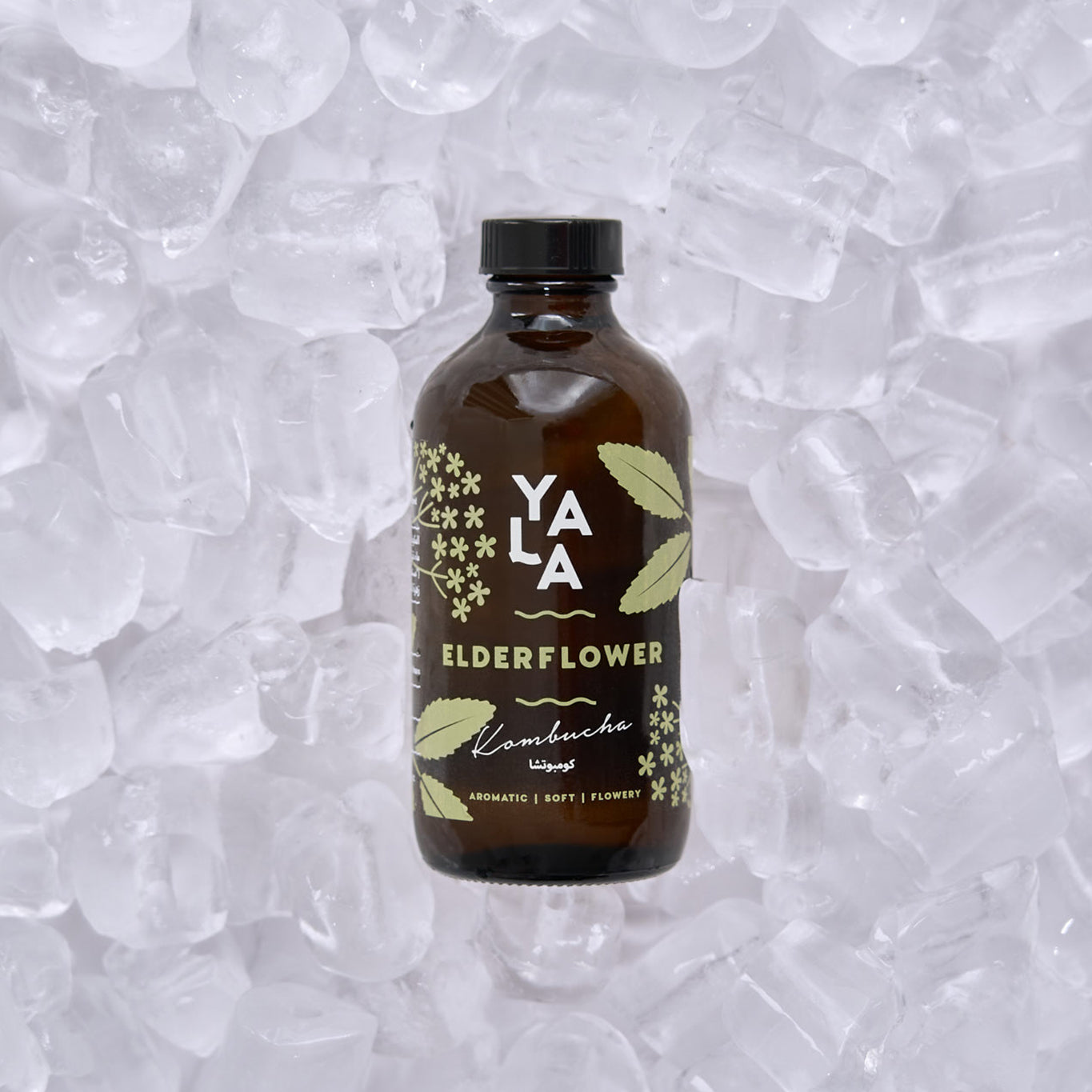 Elderflower Bottled Kombucha