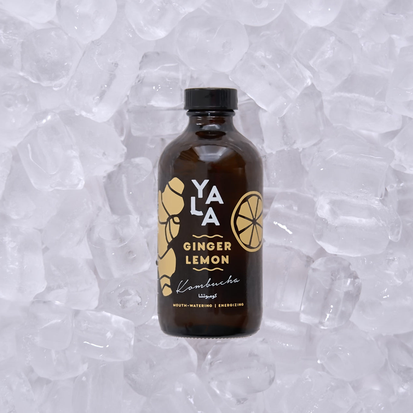 Ginger & Lemon Bottled Kombucha