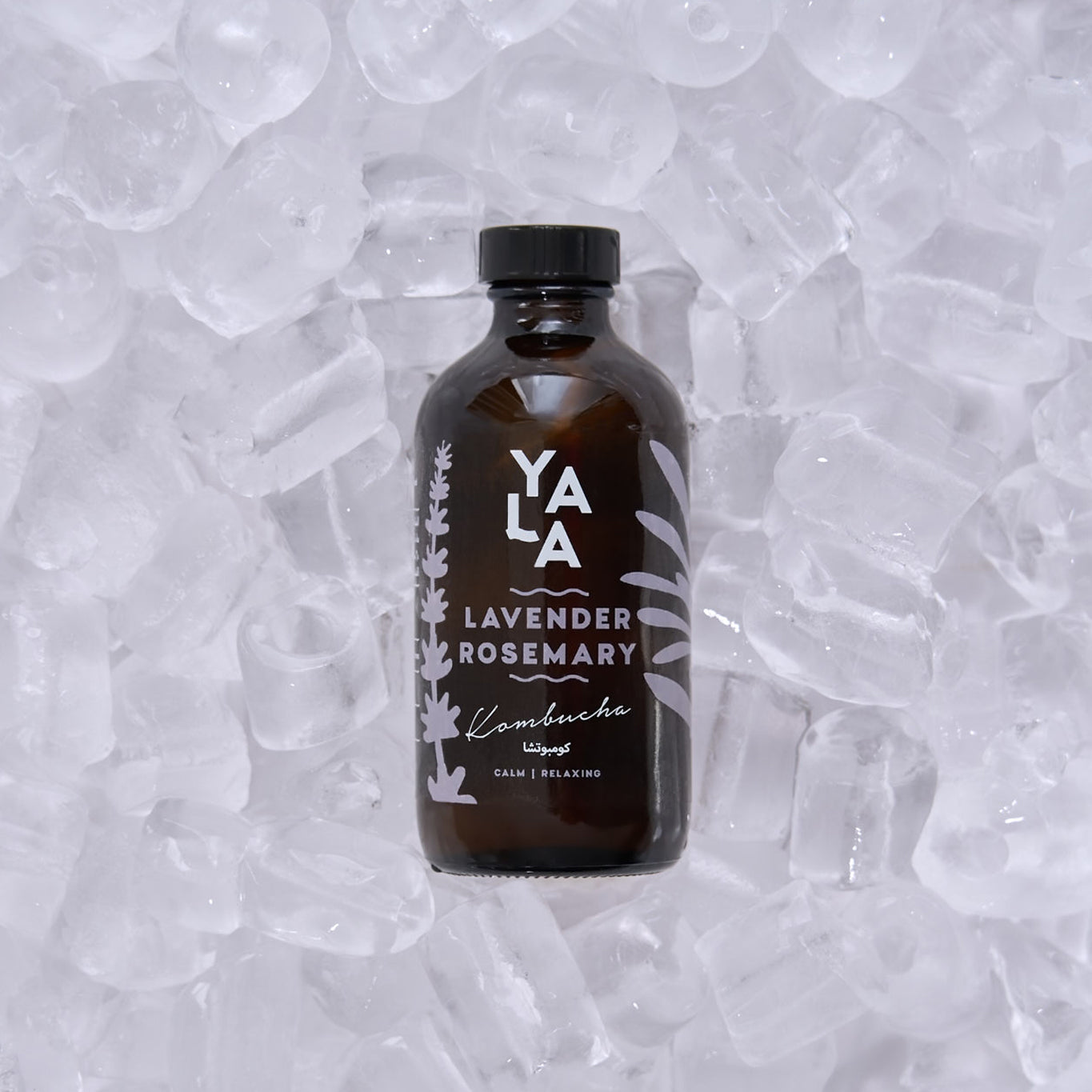 Lavender & Rosemary Bottled Kombucha