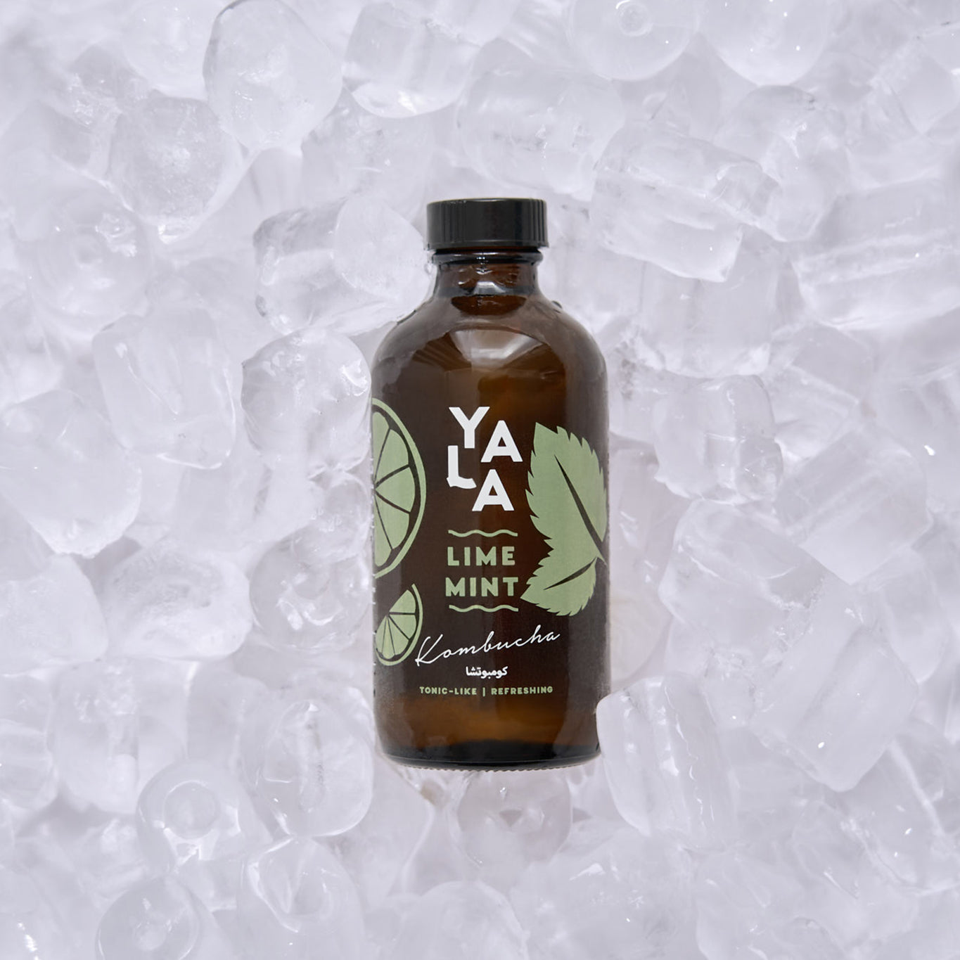 Lime & Mint Bottled Kombucha