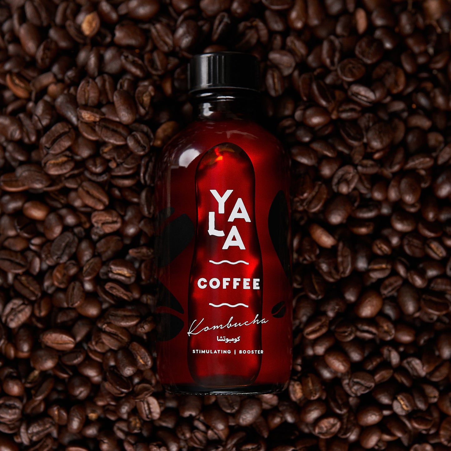 Coffee Bottled Kombucha