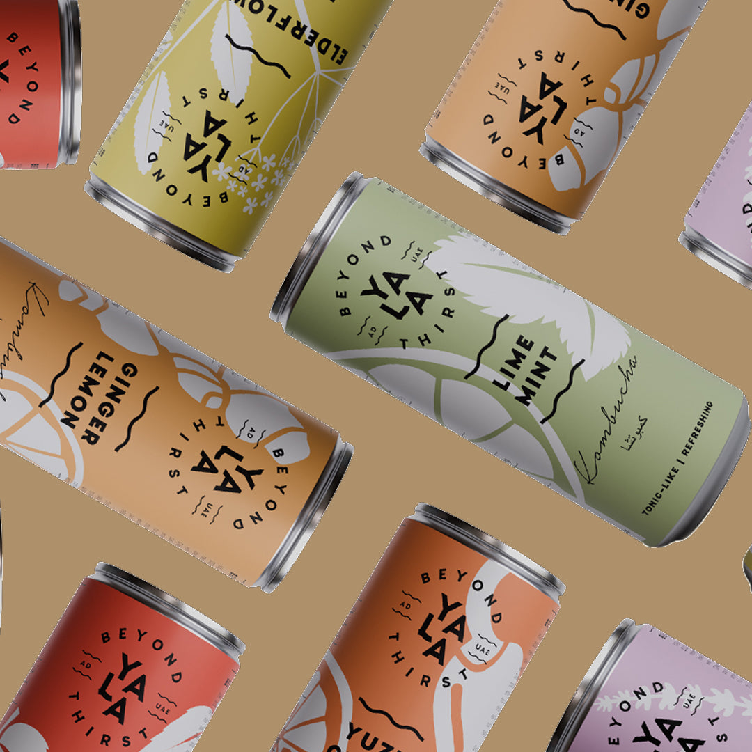 Canned Kombucha