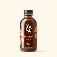 Berries Bottled Kombucha