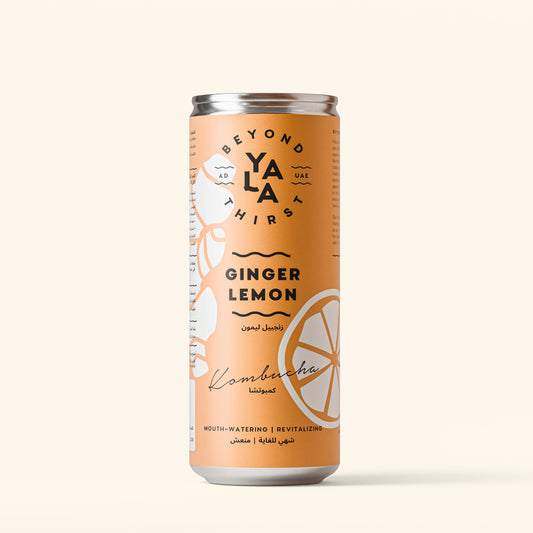 Ginger & Lemon Canned Kombucha