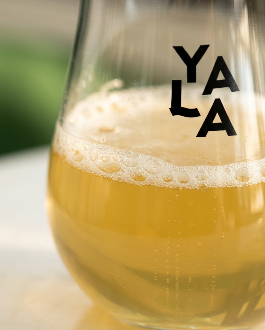 Hops & Passionfruit Bottled Kombucha
