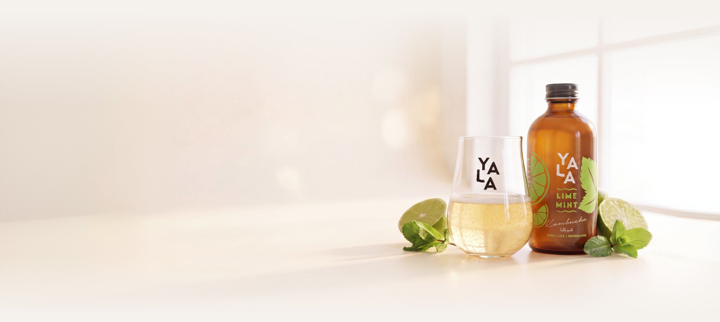 Premium Kombucha